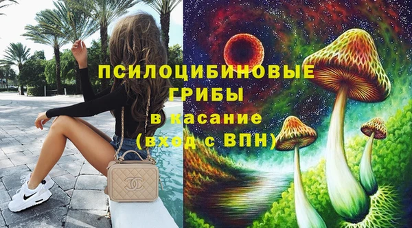 бутират Богородицк