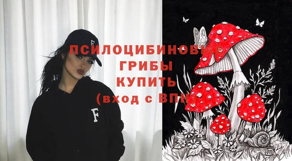 крисы Богданович